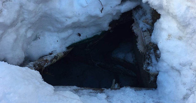 Tunceli&#039;de roketatar ve silah ele geçirildi