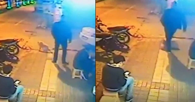 Uyuyan köpeğe acımasızca tekme attı