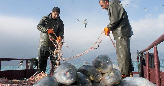 Balıkçıların inci kefali sevinci