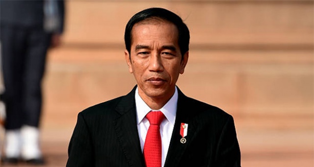 Endonezya Devlet Başkanı Widodo Hindistan'da