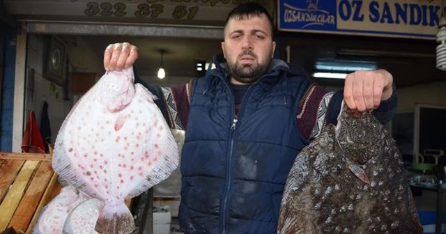 Kalkan balığı fiyatını altı ayda ikiye katladı