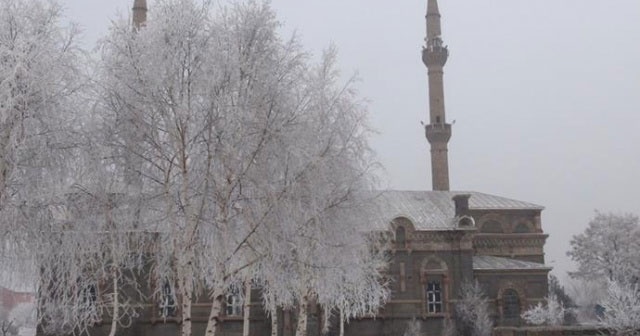 Kars&#039;ta hava ulaşımına sis engeli