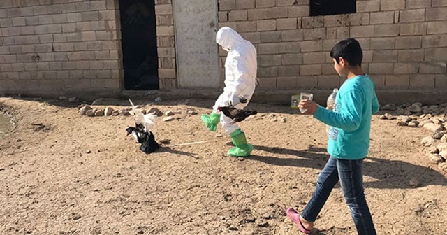 Korkutan gelişme! Kuş gribi tespit edildi, ekipler tek tek topladı