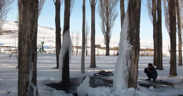 Patlayan su borusu ağaçları dondurdu