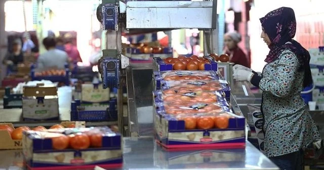Rusya Türkiye'den domates ithalatını arttırabilir