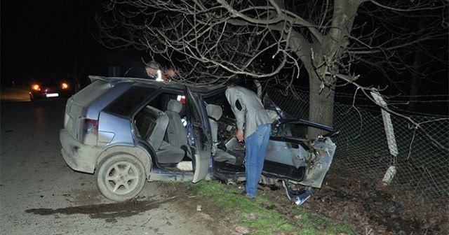 Bursa'da otomobil ağaca çarptı