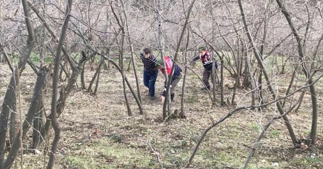 Cezaevi firarisi fındıklıkta yakalandı