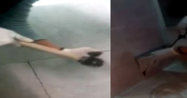 Duvarın içinden cephanelik çıktı