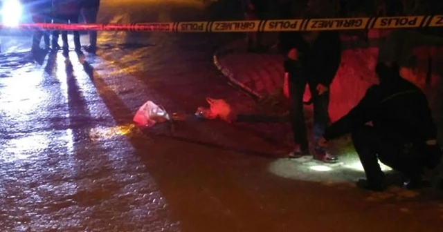 Ordu'da silahlı saldırı: 1 kişi öldü