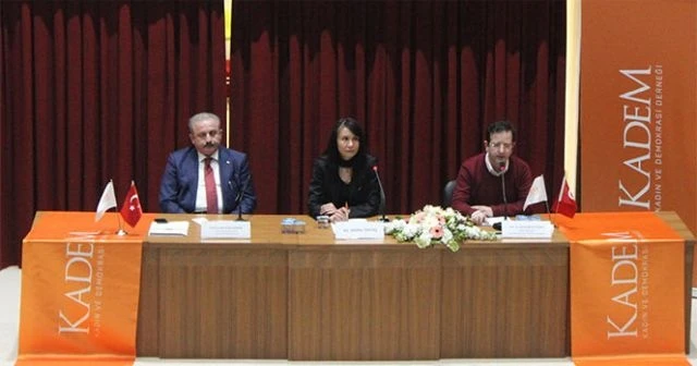 Şentop: 'Türk Silahlı Kuvvetleri içinde bulunan bir çete vardı'