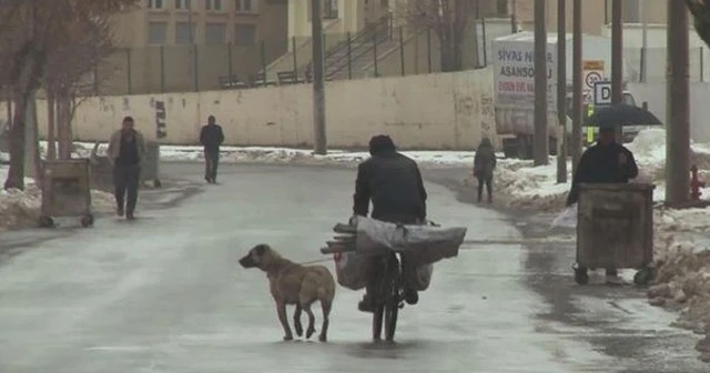 Sivas'ta köpeğin boynuna ip bağlayan şahıs bisikletin peşinde koşturdu