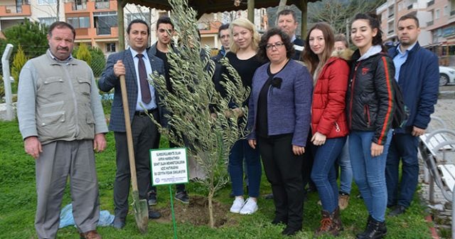 Söke’de Afrin Şehitlerinin anısına zeytin fidanı dikildi