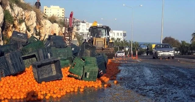 Tırdan dökülen narenciye karayolunu trafiğe kapattı