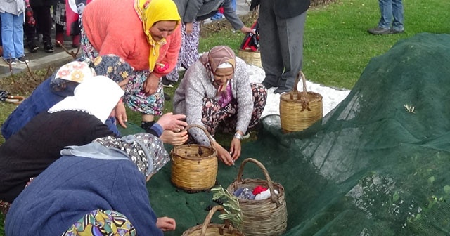 Yüzlerce yıllık gelenek Meci