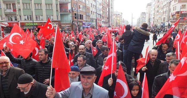 Zeytin Dalı Harekatı'na bir destek yürüyüşü daha