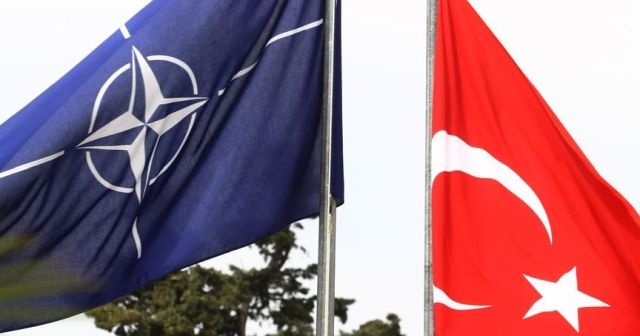 'NATO Türkiye'yi terörle mücadelede yalnız bırakıyor'