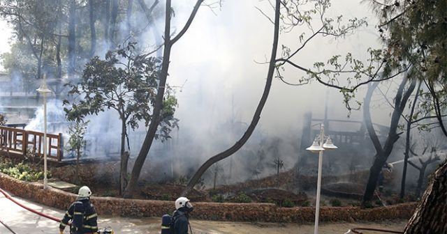 Antalya Atatürk Parkı&#039;nda korkutan yangın