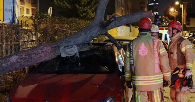 Ataşehir&#039;de ağaç otomobilin üstüne devrildi