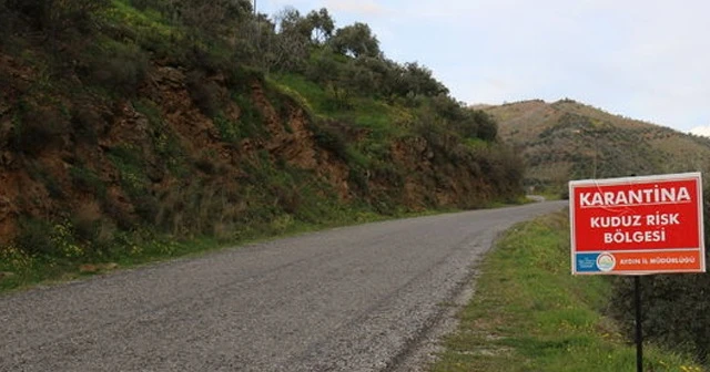 Aydın'da kuduz vakası görülmesi üzerine bir mahalle karantinaya alındı