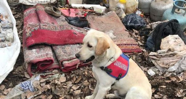 Bitlis&#039;te PKK&#039;ya ait 3 sığınak bulundu