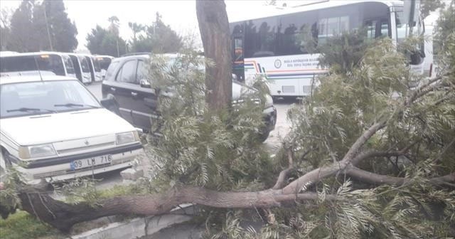 Bodrum’da fırtına hayatı felç etti