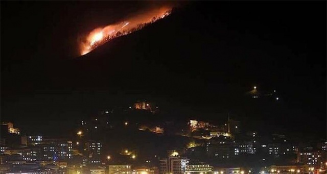 Giresun’da orman yangını