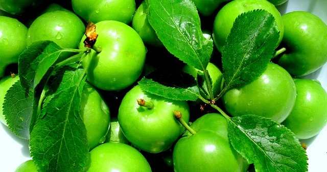 Kilosu 150 liradan 55 liraya düştü