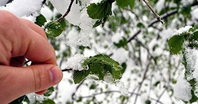 Meteoroloji'den zirai don uyarısı