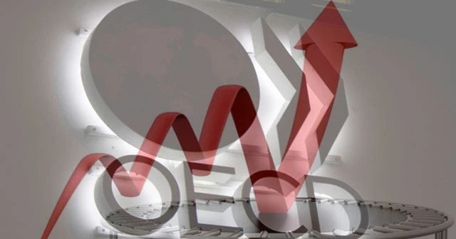 OECD, Türkiye'nin büyüme beklentisini yükseltti!