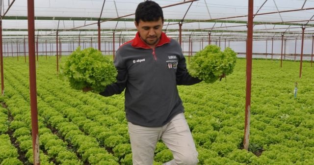 Zonguldak’ta mevsimlik işçilerin günlük ücreti açıklandı