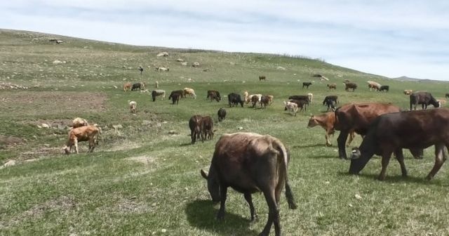 60 bin TL maaşla çalışacak işçi bulamıyorlar!