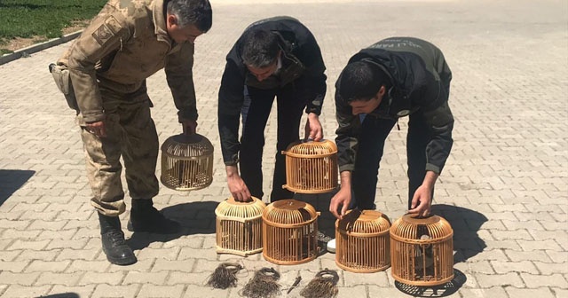 Bitlis&#039;te kaçak avcılara ceza yağdı