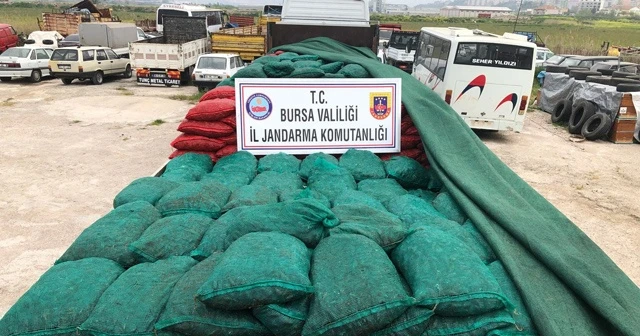 Bursa&#039;da 30 ton kaçak midye ele geçirildi