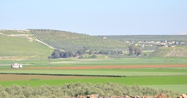 Hatay’a &#039;Zeytin Dalı Sınır Kapısı&#039; geliyor