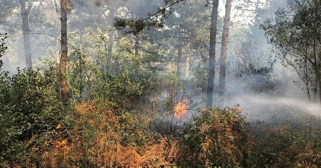 Sancaktepe Aydos Ormanı&#039;nda yangın çıktı