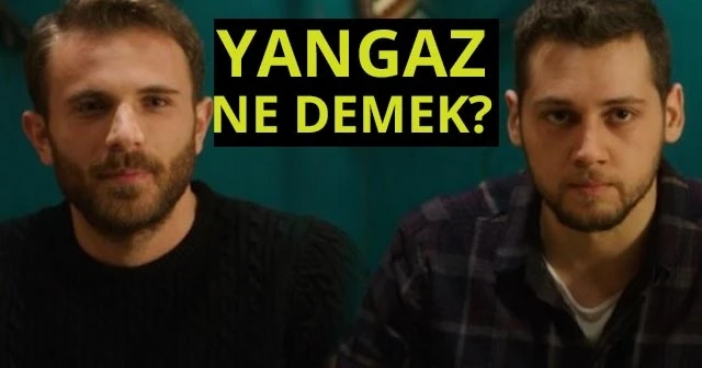 Yangaz Ne Anlama Geliyor? Yangaz Nedir? Sen Anlat Karadeniz Yangaz Ne Demek?