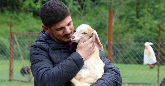 20 günlük keçiye evladı gibi bakıyor