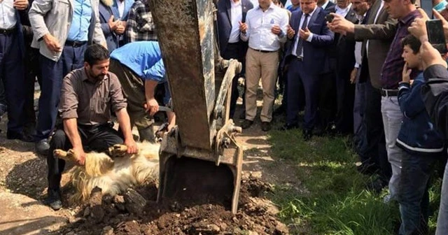4 bin nüfuslu köyün su hasreti sona eriyor
