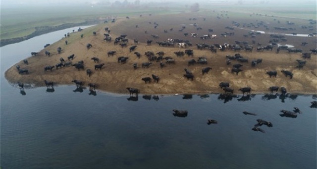 Fotoğrafı gören Afrika sanıyor ama burası Balıkesir