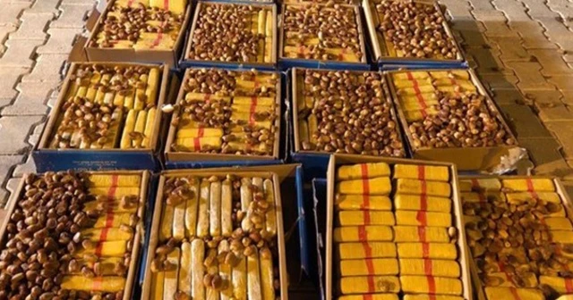 Hurmaların içinden uyuşturucu çıktı