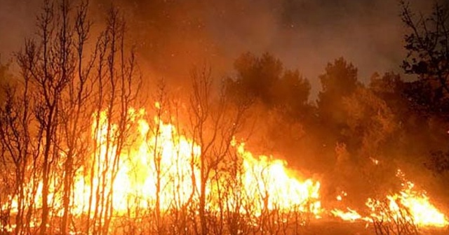 Muğla'da korkutan orman yangını