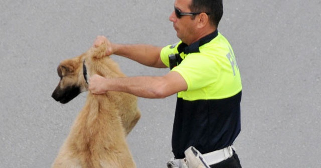 Polis bu hareketi yaptı! Bakın ne ödül kazandı