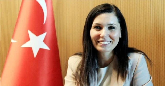 'Milletin taktığı apoletleri ancak millet çıkarır'