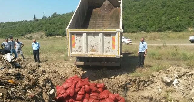 4 ton midye ele geçirildi: 20 gözaltı