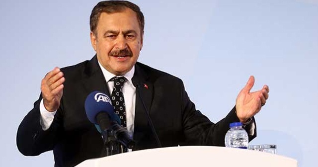 Bakan Eroğlu: Türkiye seçimlerde dünyaya demokrasi dersi verdi