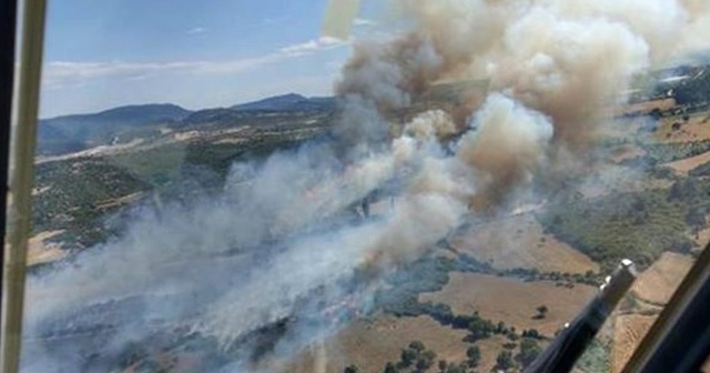 Çanakkale&#039;de orman yangını!