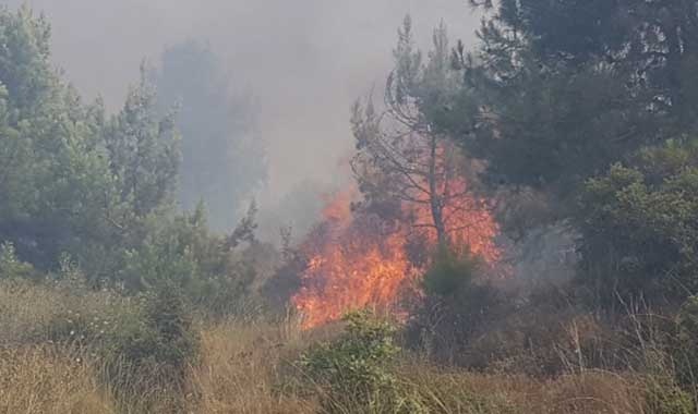 Çocukların oyunu felaketle sonuçlanıyordu