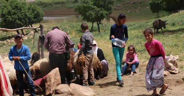 Dağlar teröristlerden temizlendi, yaylalara huzur geldi