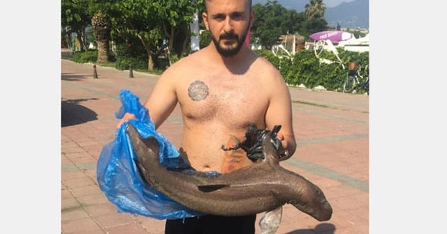 Denizde buldu, görünce şoke oldu sonra yanına alıp...
