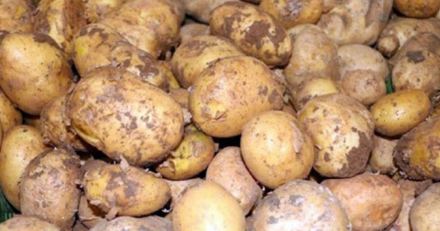 Sandıklar kapandı, patates fiyatı 1.95 liraya düştü